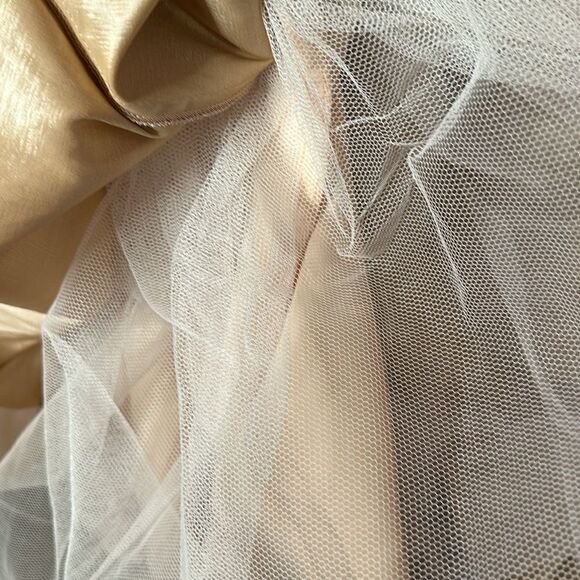 Rachel Allen Princess Champagne Gown - Picture 11 of 11